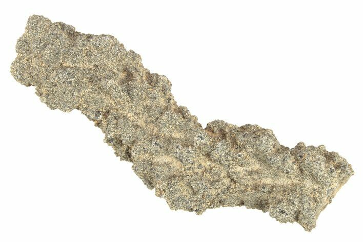 Fulgurite - Petrified Lightning #268475